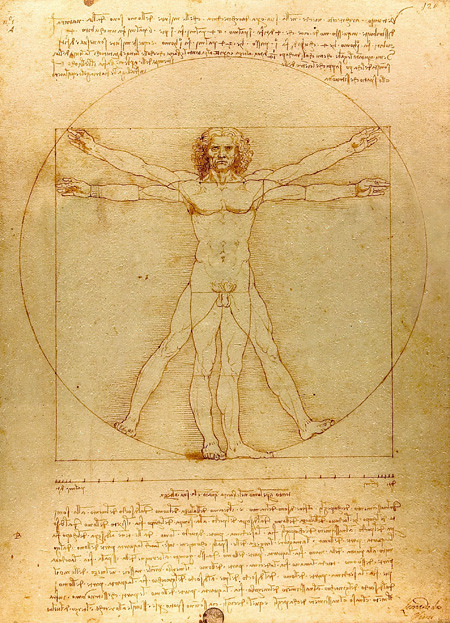 el estudio de la anatomia en las obras de andreas vesalius una mirada al renacimiento