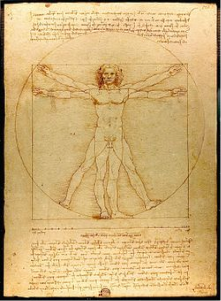 innovacion anatomica en el arte renacentista una mirada al cuerpo humano en las obras maestras