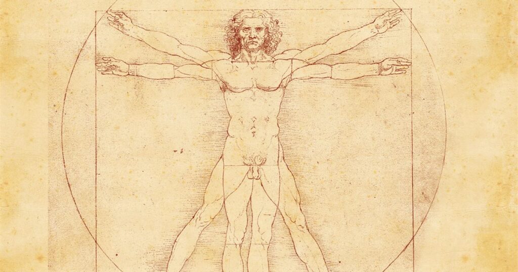 la anatomia como inspiracion el impacto de los estudios anatomicos en la pintura del renacimiento