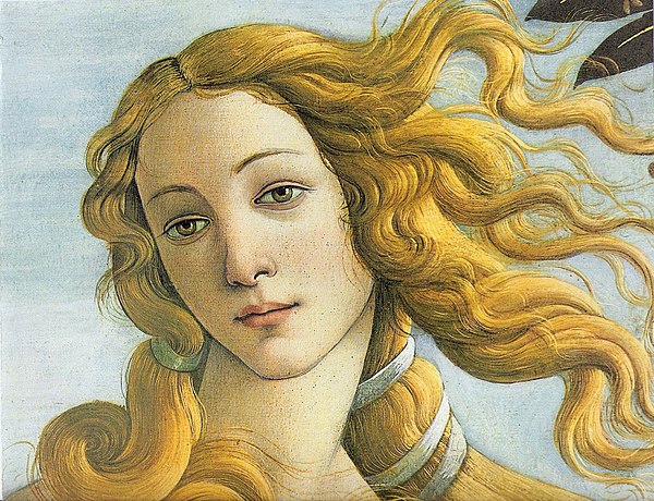la representacion de la perfeccion el retrato de la belleza ideal en el arte renacentista